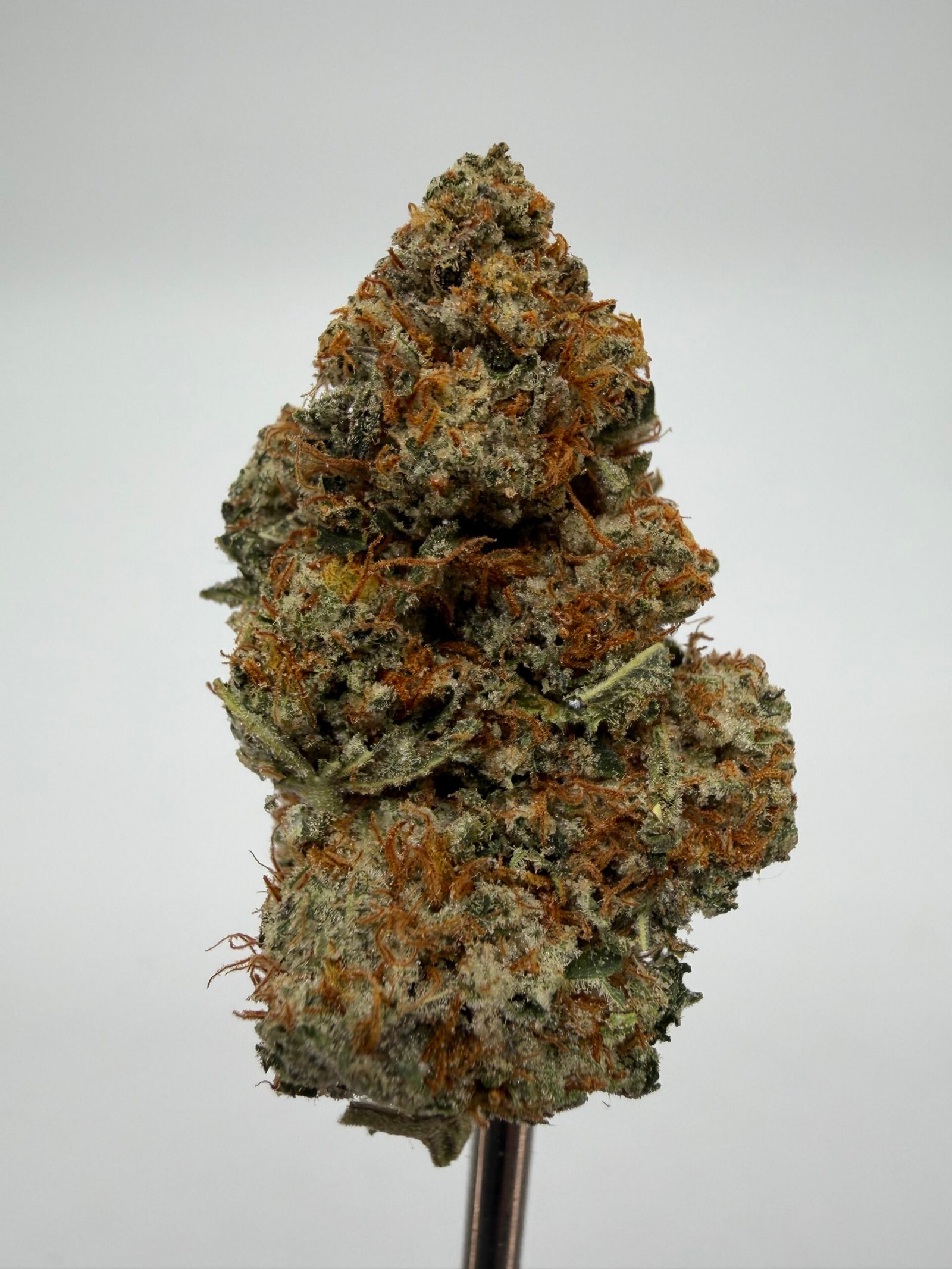 Cookie Dawg