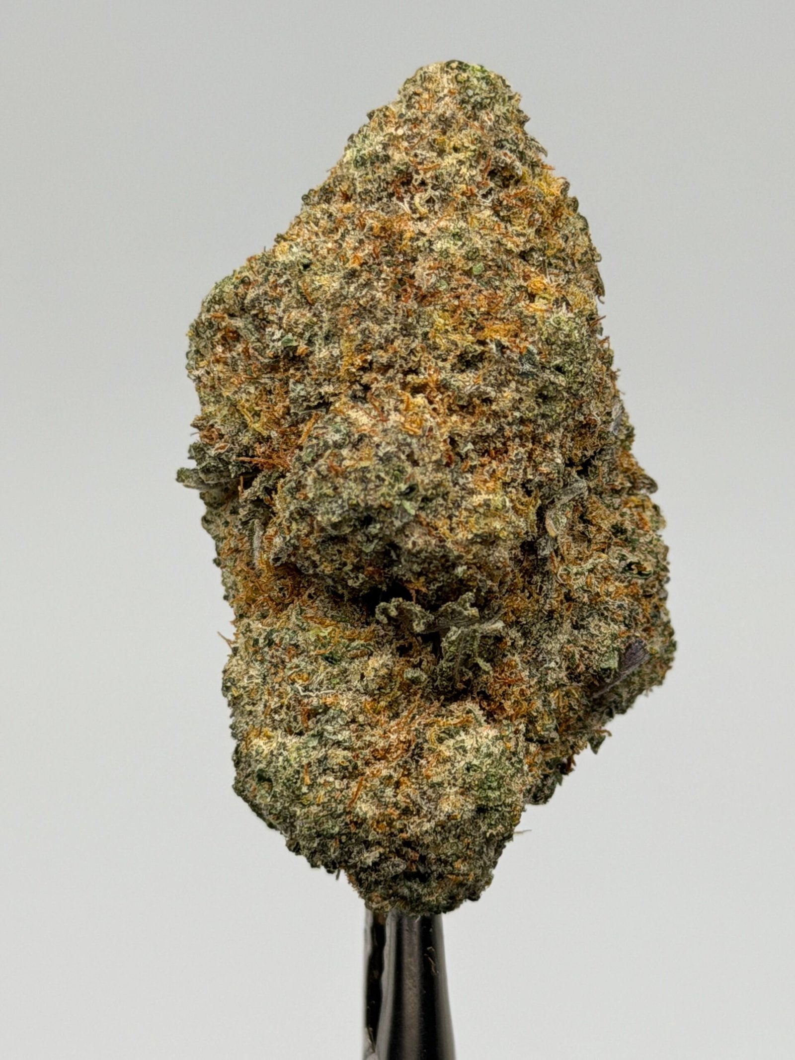 White Blizzard
